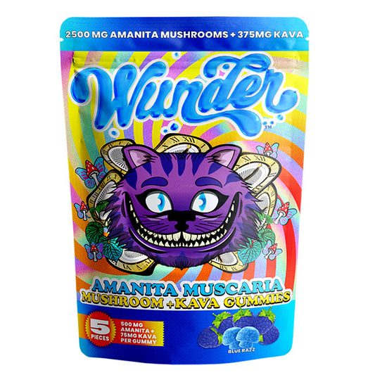 Wunder Mushroom Kava Gummies (5ct Pouch) - Blue Razz with packaging